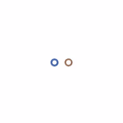 Bague en caoutchouc BOSCH F 00V E35 004