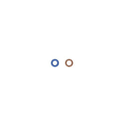Bague en caoutchouc BOSCH F 00V E35 004