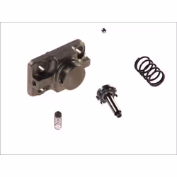 Kit de réparation, pompe à rampe commune BOSCH F 01M 100 869