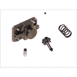 Kit de réparation, pompe à rampe commune BOSCH F 01M 100 869