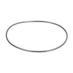 Bague en caoutchouc BOSCH F 00N 202 726