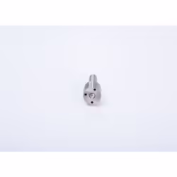 Gicleur d'injection BOSCH 0 433 171 439