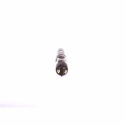 Injecteur, système à rampe commune BOSCH 0 445 120 197