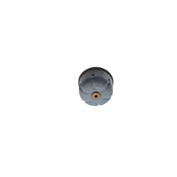 Filtre à huile BOSCH F 026 407 099