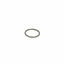Bague en caoutchouc BOSCH F 002 F71 075