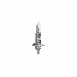 Ampoule halogène BOSCH H1 Trucklight Maxlife 24V, 70W, 1 pièce