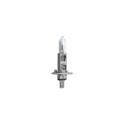 Ampoule halogène BOSCH H1 Trucklight Maxlife 24V, 70W, 1 pièce