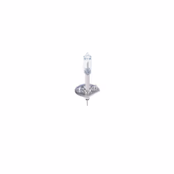 Ampoule halogène BOSCH H1 Trucklight Maxlife 24V, 70W, 1 pièce