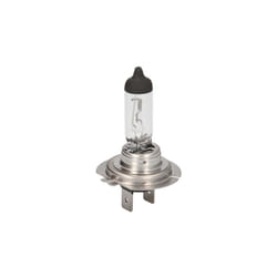 Ampoule halogène BOSCH H7 Trucklight Maxlife 24V, 70W, 1 pièce