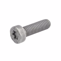 Vis BOSCH F 00N 202 191