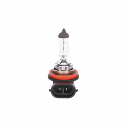 Ampoule, phare antibrouillard Pure Light BL BOSCH 1 987 301 339, 1 pièce