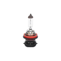 Ampoule, phare antibrouillard Pure Light BL BOSCH 1 987 301 339, 1 pièce