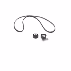 Kit distribution BOSCH 1 987 948 295