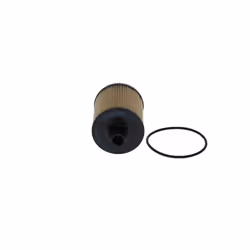 Filtre à huile BOSCH F 026 407 273