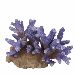 Aqua Della Coraal acropora, Violet, Polyester, Eau fraîche, Eau salée, 1 pièce(s), 155 mm, 120 mm
