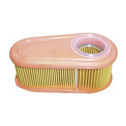 Filtre à air compatible Briggs & Stratton, remplace 795066 - Arnold