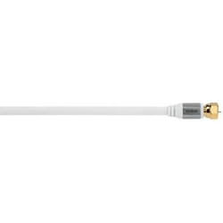 Avinity 2m, 2xF câble coaxial F Blanc