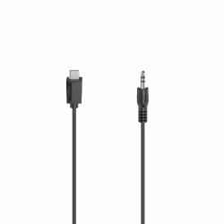 Hama 00200729, 3,5mm, Mâle, USB Type-C, Mâle, 0,75 m, Noir