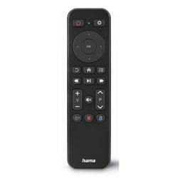 Hama 00221050 télécommande IR Wireless TV Appuyez sur les boutons