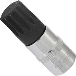 Vigor - Douille mâle à denture multiple ∙ xzn ∙ V6113 ∙ Carré creux 3/8 pouce (10 mm) ∙ Profil denture multiple intérieur xzn ∙ Taille M16