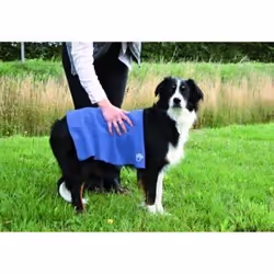 Lot de 9 séchante pour chien en microfibres Trixie