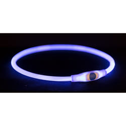 TRIXIE 12664 collier pour chiens et chats Plastique S-M Chien