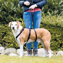 TRIXIE 13092, Chien, S-M, Noir, 40 cm, 65 cm