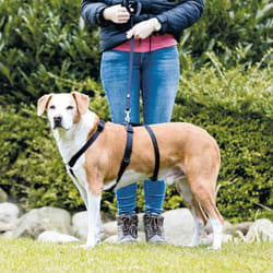TRIXIE 13092 harnais pour chiens et chats S-M Noir Chien