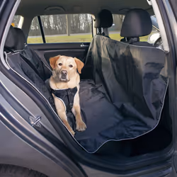 TRIXIE 13472, Accessoire de protection de siège pour animal, Noir, Polyester, Monochromatique, Dos, 1450 mm