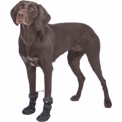 TRIXIE 19412 chaussette pour chien - Vue supplémentaire 6