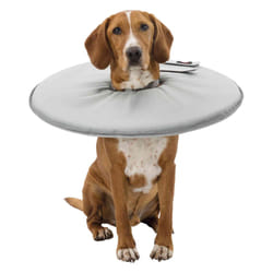TRIXIE 19422 collier pour chiens et chats Gris mousse, Polyester Chien Collier de tête