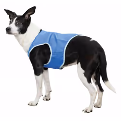 TRIXIE 30131, Chien, Veste, XS, Bleu, PVA, Monochromatique