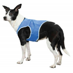 TRIXIE 30131 manteau d’extérieur pour chiens et chats XS Bleu PVA Chien Veste
