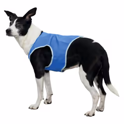 TRIXIE 30132 manteau d’extérieur pour chiens et chats S Bleu Chien Veste