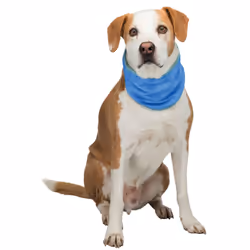 TRIXIE 30138 manteau d’extérieur pour chiens et chats L Bleu PVA Chien Bandana