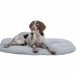 Matelas - TRIXIE - Farello - Peluche / Tissu - 60 x 50 cm- Blanc / Gris