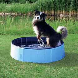 TRIXIE 39481 piscine pour chiens Pataugeoire rigide pour chien