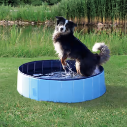 TRIXIE 39483, Pataugeoire rigide pour chien, Rond, Plastique, 1600 mm, 1600 mm, 300 mm