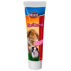 TRIXIE 60181 friandise pour petits animaux