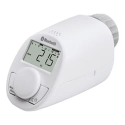Eqiva CC-RT-BLE-EQ thermostat Blanc