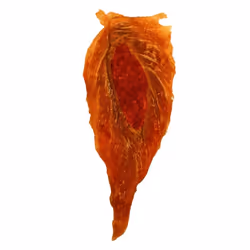 8in1 Fillets Pro Active Chien Friandise Poulet 80 g