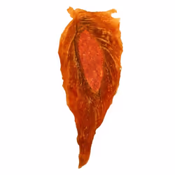 8in1 Fillets Chien Friandise 85 g