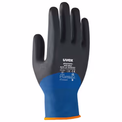 Uvex 6006109, Anthracite, Bleu, Gris, EUE, Adulte, Adulte, Unisexe, 1 pièce(s)