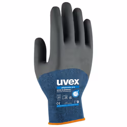 Uvex 6006208, Anthracite, Bleu, Gris, EUE, Adulte, Adulte, Unisexe, 1 pièce(s)