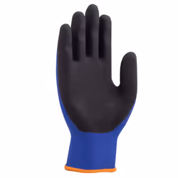 Uvex 6002711 Gant de protection Gants d'atelier Anthracite, Bleu Elastane, Polyamide 1 pièce(s) - Vue supplémentaire 6