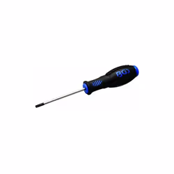 Description Empreinte : Profil T (pour Torx) avec perçage T20 Longueur : 174 mm Traitement de surface de la pointe : bruni Lo ...