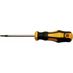 Bgs Technic - tournevis profil en t (pour torx) T6 longueur de la lame 60 mm bgs diy 7844-T6