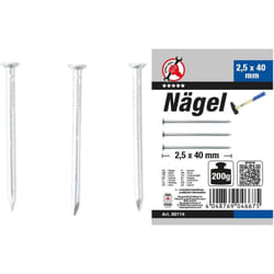 Bgs Technic - assortiment de clous 200G 2,5 x 40 mm bgs diy 88114