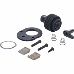Toutes les pièces d'usure pour la tête de cliquet dans un kit Comprenant : roue à cliquet, levier inverseur, vis, pièce de ve ...