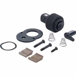 Toutes les pièces d'usure pour la tête de cliquet dans un kit Comprenant : roue à cliquet, levier inverseur, vis, pièce de ve ...